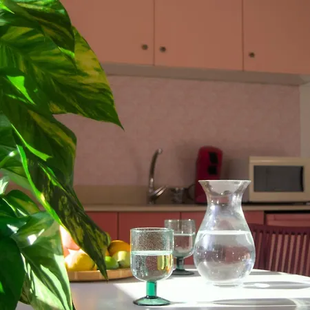 Apartment A Casa Amodino O Freixo