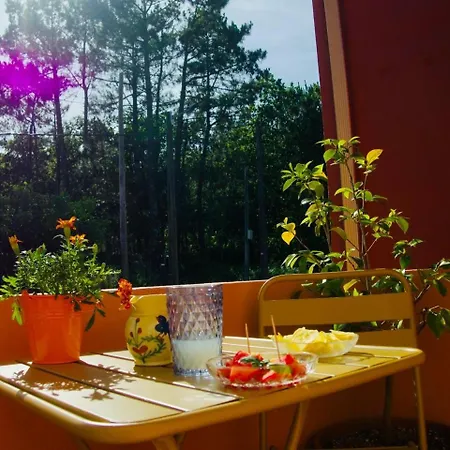 A Casa Amodino O Freixo