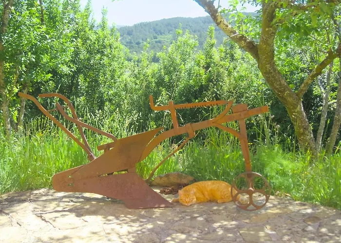 A Casa Amodino O Freixo