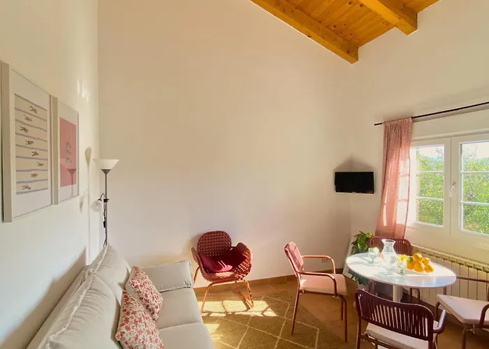 아파트 A Casa Amodino *